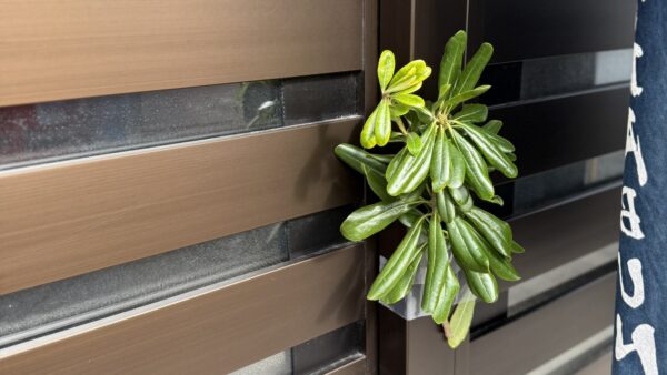 式根島・新島で実際に体験した「海難法師／カンナンボウシ」の一夜