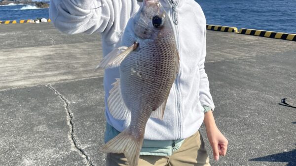 釣った魚を自炊で食べられる持ち帰り方