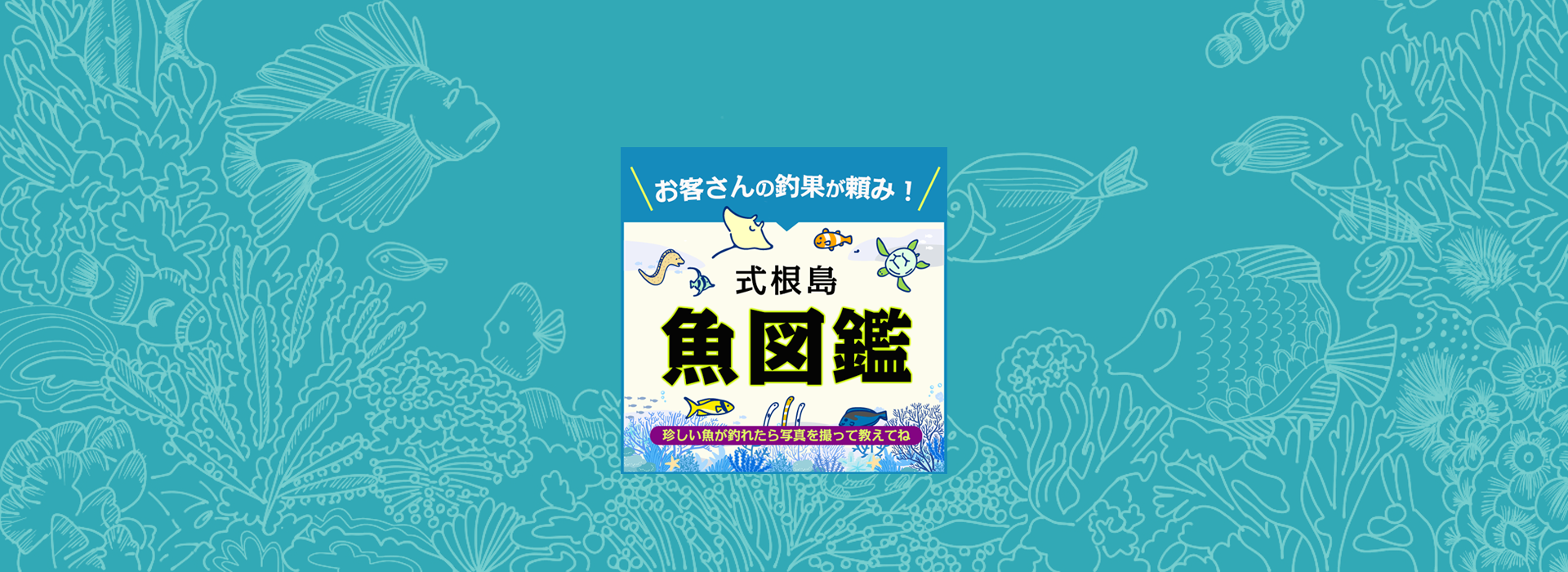 式根島で釣れる魚図鑑  |  式根島ひだぶんMAGAZINE | 式根島ひだぶんMAGAZINE