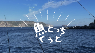釣り・魚突き