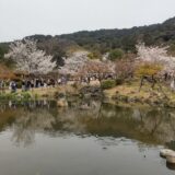 花の古都