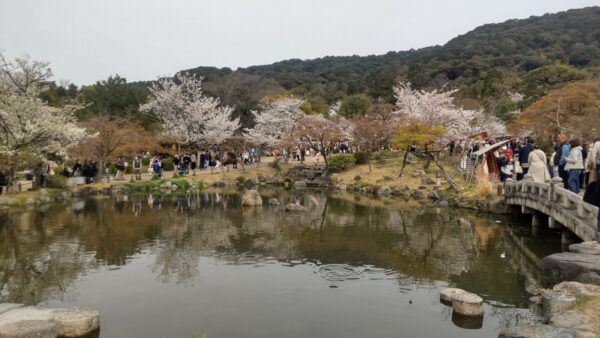 花の古都