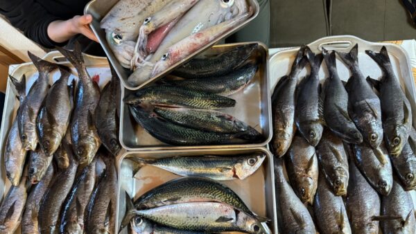 頼れるひだぶん常連釣り師たち