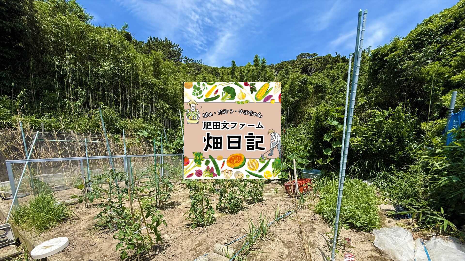 ひだぶん畑日記 | ひだぶんMAGAZINE-東京の離島・式根島