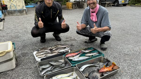 島育ちの釣果七目~良型尾長グレ