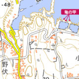 亀の甲