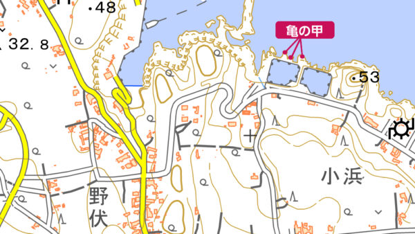 亀の甲