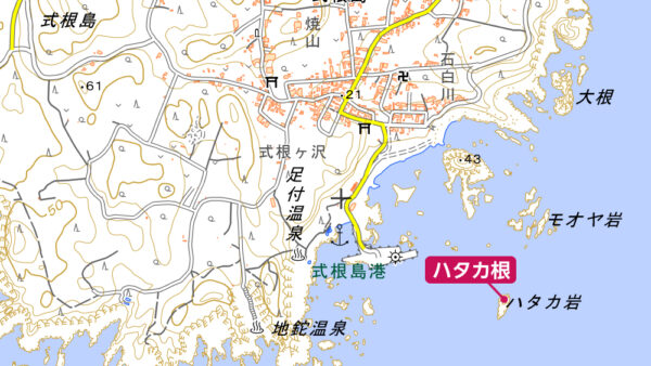 ハタカ根