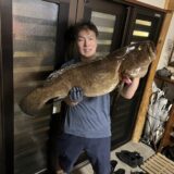 もり突き師が闇夜で制した岩礁の王クエ14㎏！究極の美味を大盤振る舞い