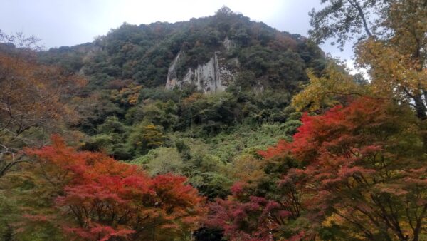 大分で今年の紅葉デビュー
