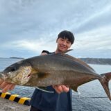夕まずめは高確率で良型カンパチGETできる素敵な島