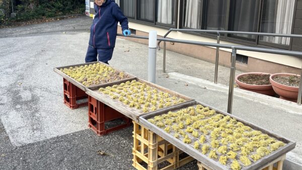 【式根島の郷土料理】島内最長老のバァが昔ながらのあめりか芋の芋餅を再現！