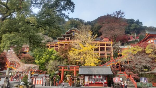 佐賀を侮ってました