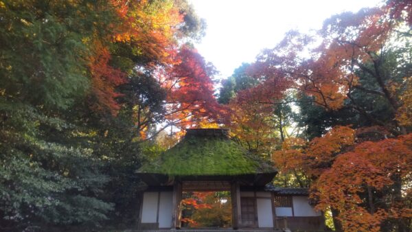京都でハイキング