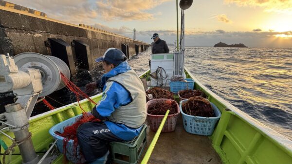 密着取材！式根島の伝統的な伊勢海老漁の口開けを追う