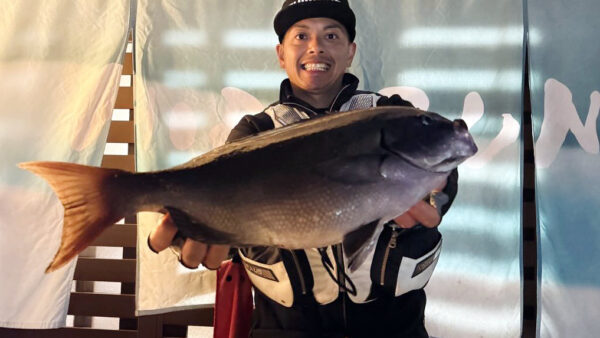 元日釣り初めは、地磯で執念の腹パン尾長メジナ48cm！