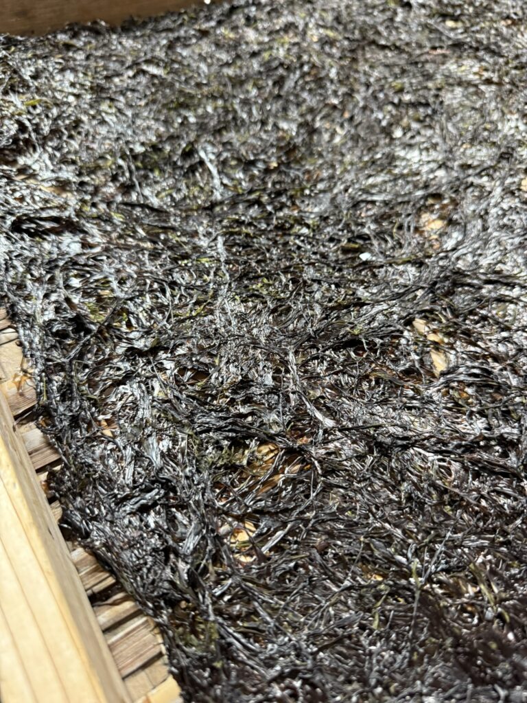 漆黒の海苔