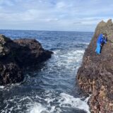 式根島の早春の風物詩・岩のり摘みの風景～採集から天日干し、食べるまで