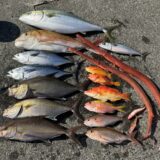 ヒデ君の釣り納めその1はオフショアジギングで極上スマにカンパチ他